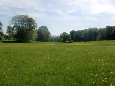 20110508-104816.jpg