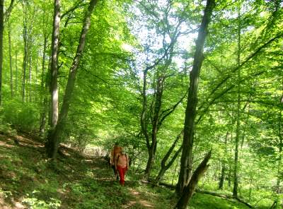 20110508-111622.jpg