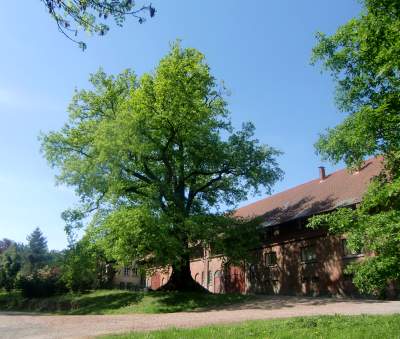 20110508-113204.jpg