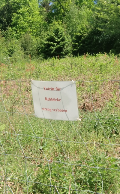 20110508-130006.jpg