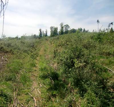 20110508-142954.jpg