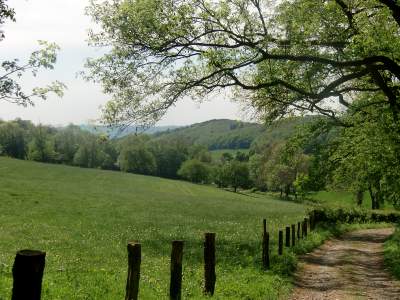 20110508-150206.jpg