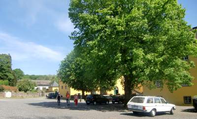 20110508-151048.jpg