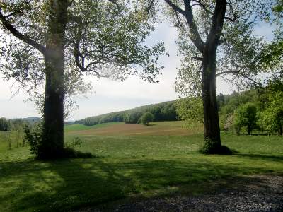 20110508-151146.jpg