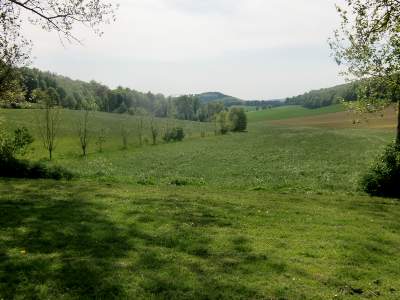 20110508-151208.jpg