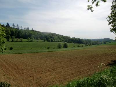 20110508-151352.jpg