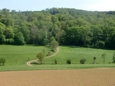 20110508-151846.jpg
