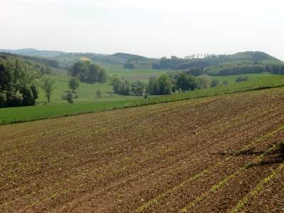 20110508-151854.jpg